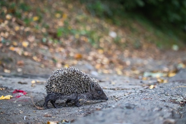 中国女排3-1战胜哥伦比亚提前晋级16强，取得两连胜。